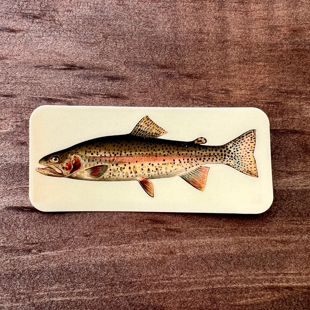 Rainbow Trout Sticker-Sticker-208 Tees- 208 Tees, A Women's, Men's and Kids Online Graphic Tee Boutique, Located in Spirit Lake, Idaho