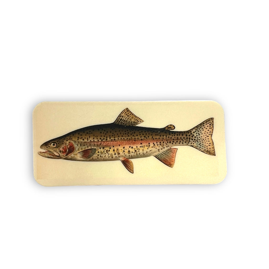 Rainbow Trout Sticker-Sticker-208 Tees- 208 Tees, A Women's, Men's and Kids Online Graphic Tee Boutique, Located in Spirit Lake, Idaho
